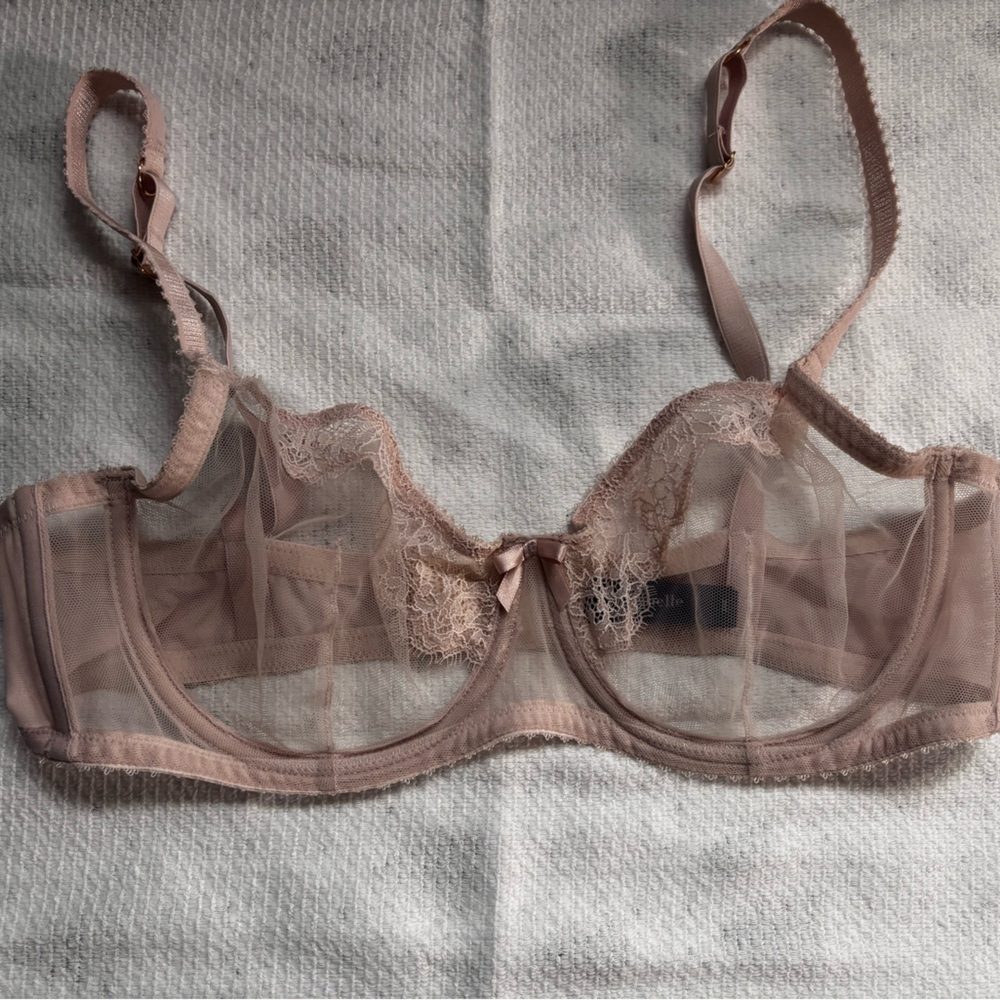 Sheer Lace Underwire Bra in Blush by